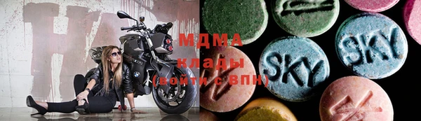 молекула духа Богородицк