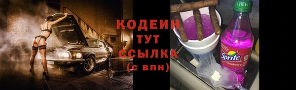 молекула духа Богородицк