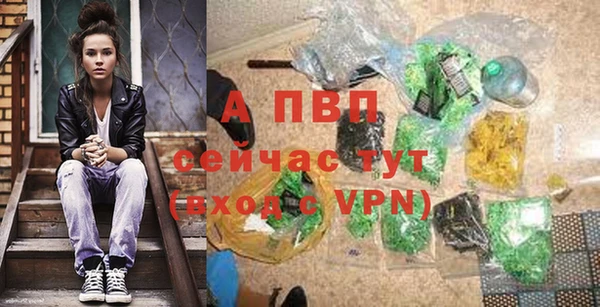 молекула духа Богородицк
