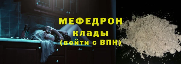 дмт Богданович