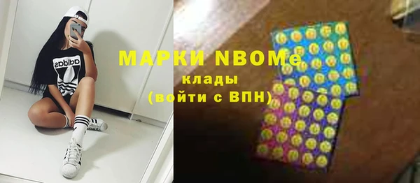 молекула духа Богородицк