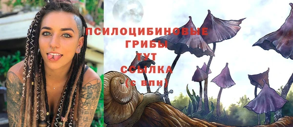 дмт Богданович