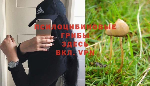 марихуана Богородск
