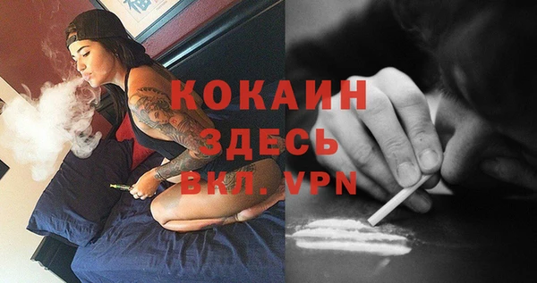 дмт Богданович