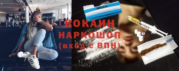 дмт Богданович