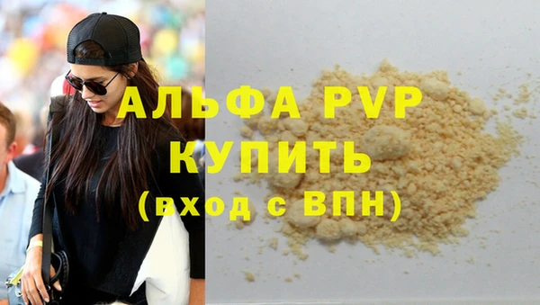 молекула духа Богородицк
