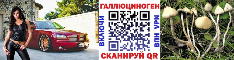 Псилоцибиновые грибы GOLDEN TEACHER  blacksprut как войти  Янаул 